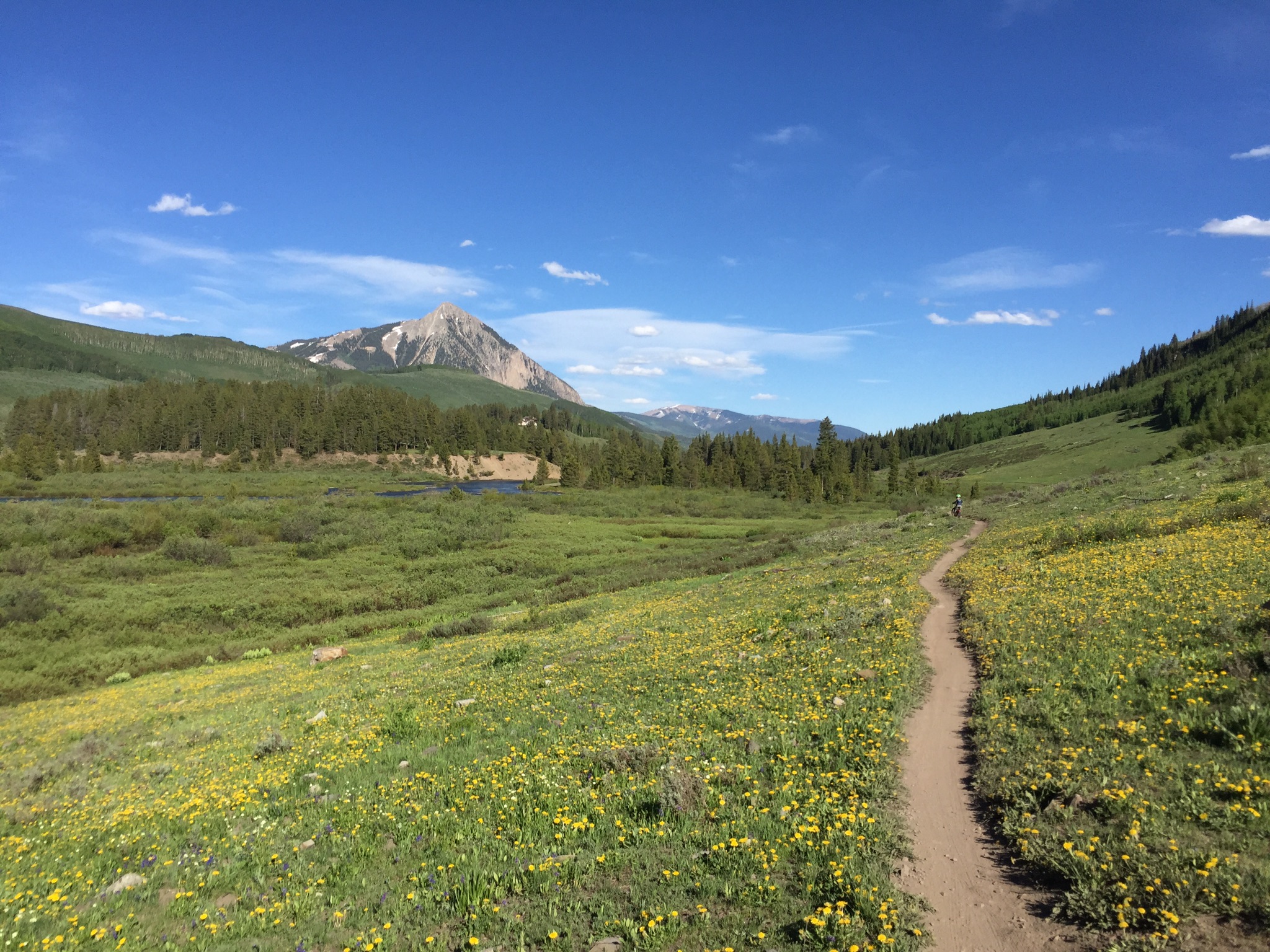 A singletrack trail curving through a green valley toward a peak