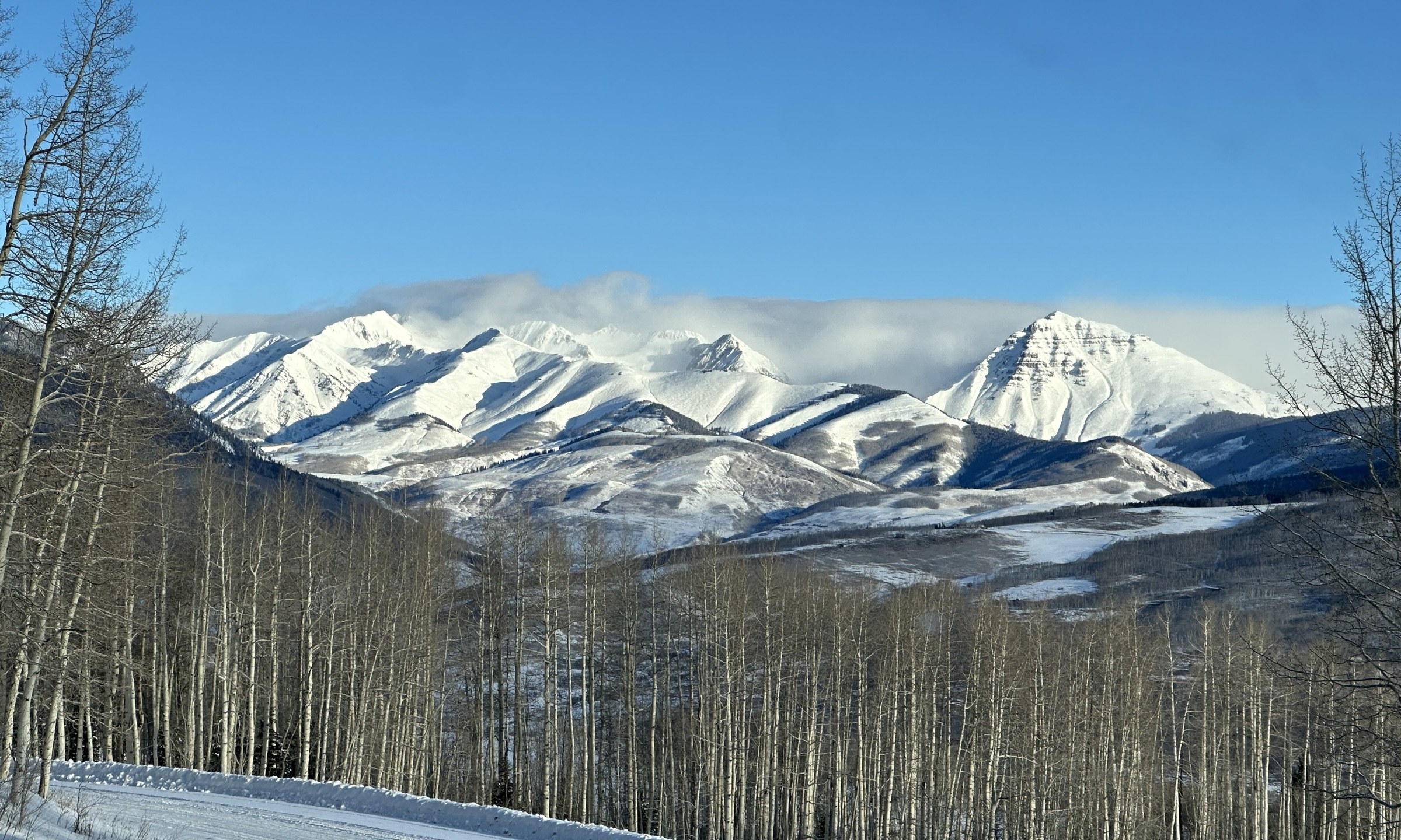 Snow on the peaks above a stand of bare aspens